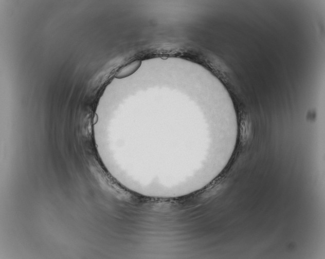 X0000111491204200908251017