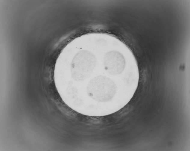 X0000111491205200908251017