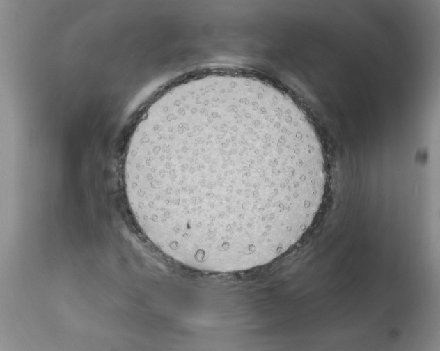 X0000111491208200908251017