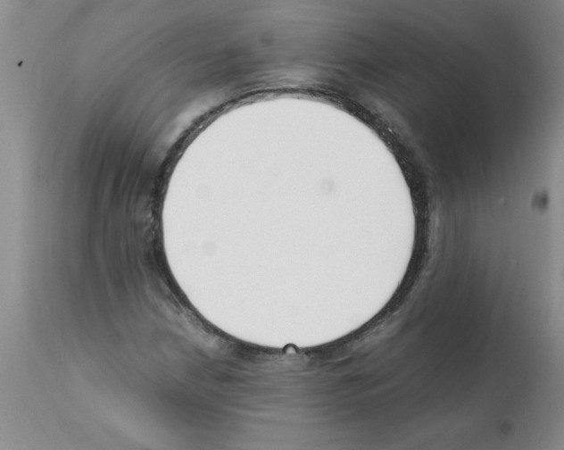 X0000111491210200908251017