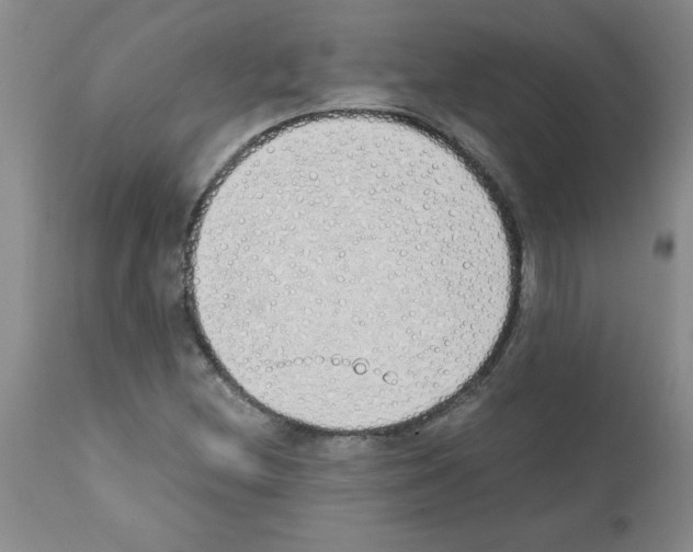 X0000111491212200908251017