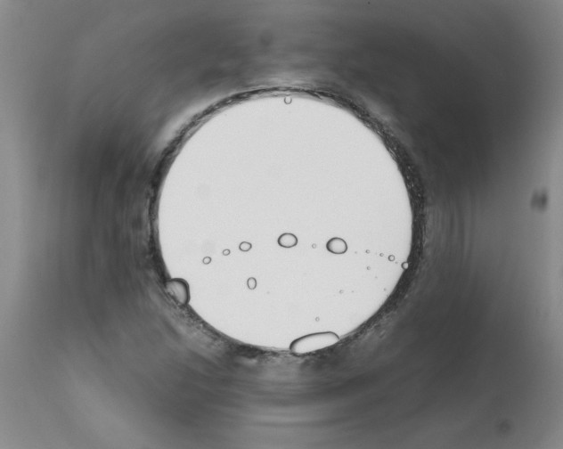 X0000111491214200908251017