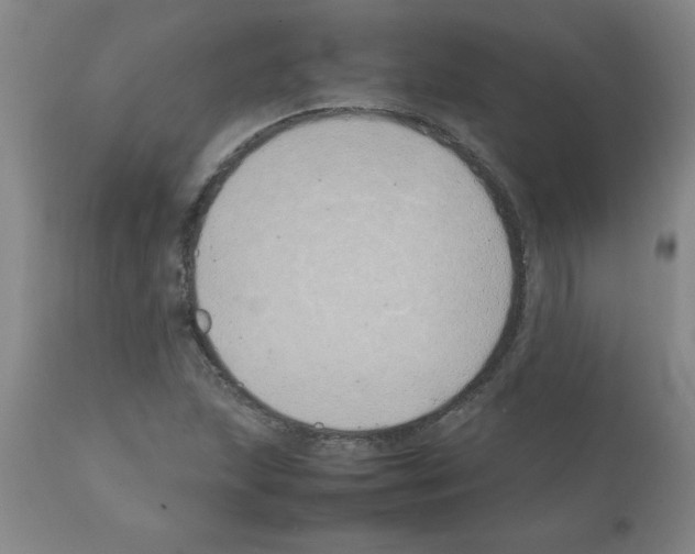 X0000111491215200908251017