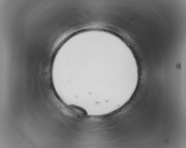 X0000111491216200908251017