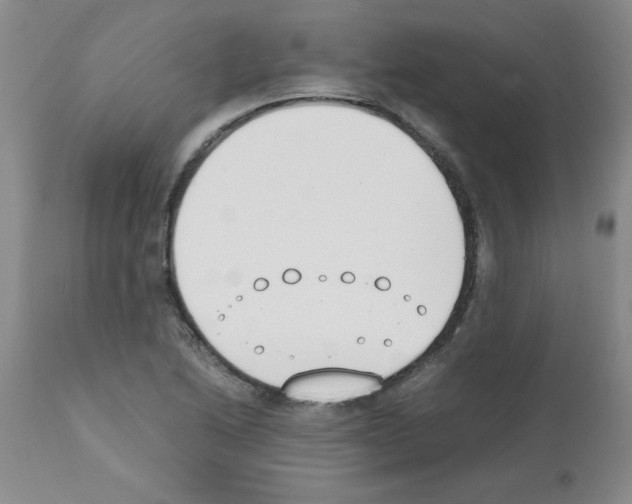 X0000111491222200908251018