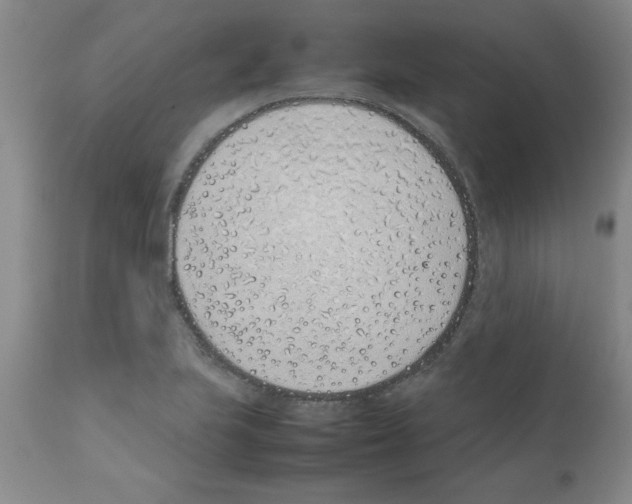 X0000111491223200908251018