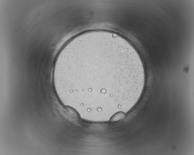 X0000111491224200908251018