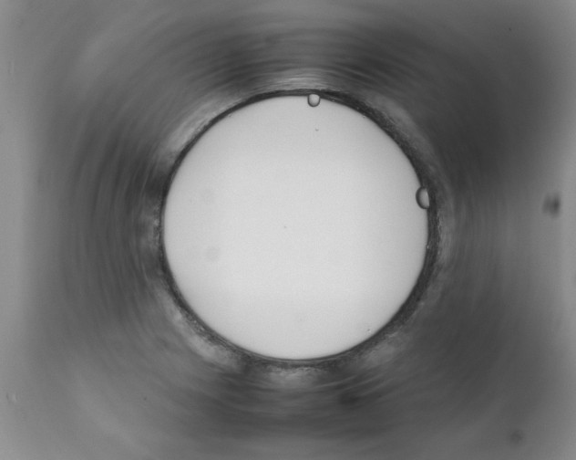 X0000111491225200908251018