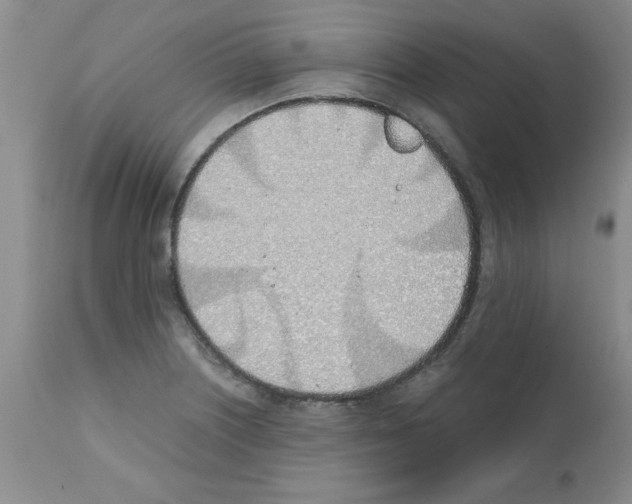 X0000111491226200908251018