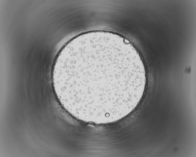X0000111491230200908251018