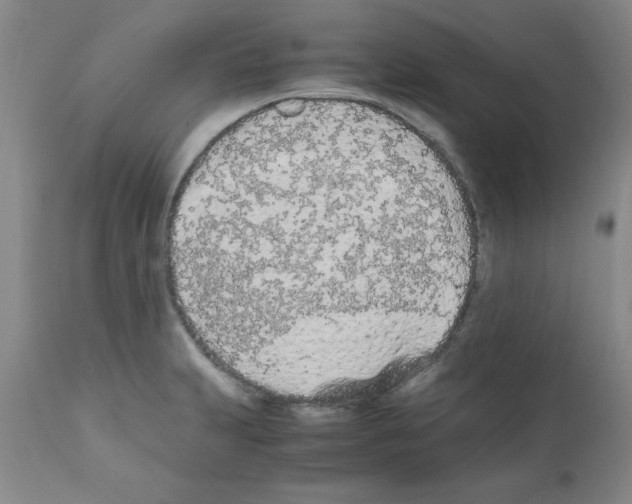 X0000111491231200908251018
