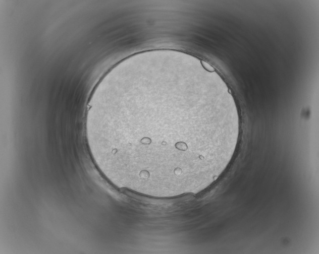 X0000111491236200908251018