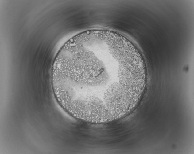 X0000111491239200908251018