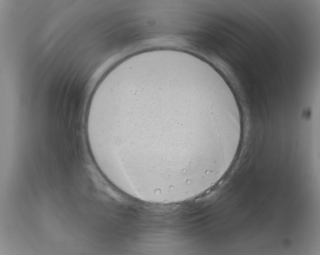 X0000111491240200908251018