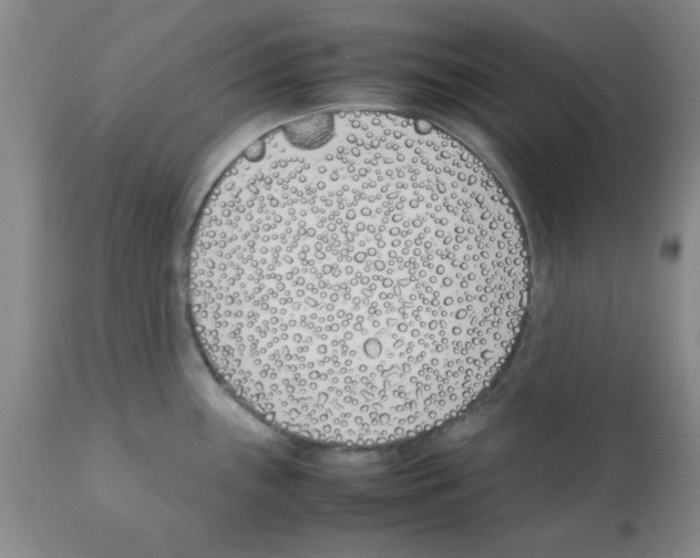 X0000111491243200908251018