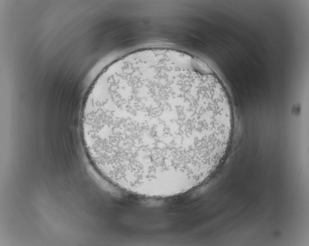X0000111491245200908251018
