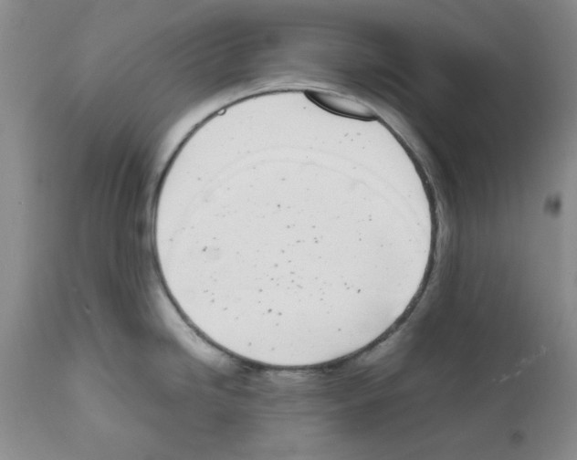 X0000111491246200908251018