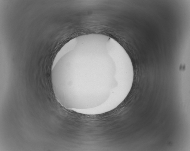 X0000111491249200908251017