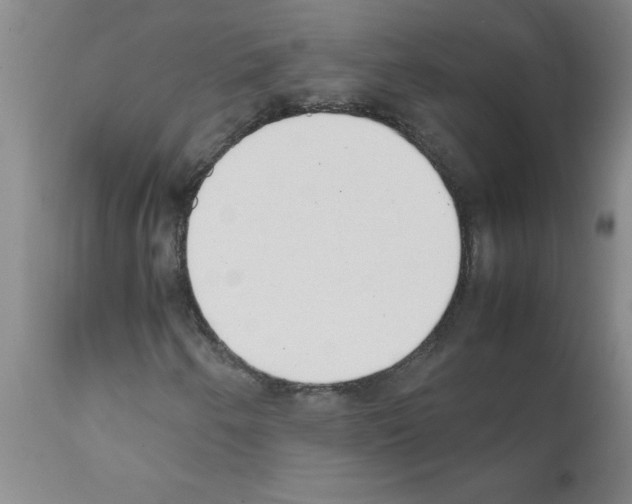 X0000111491250200908251017