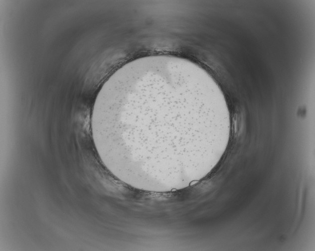 X0000111491251200908251017