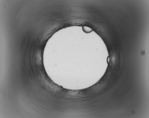 X0000111491252200908251017