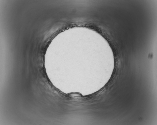 X0000111491253200908251017