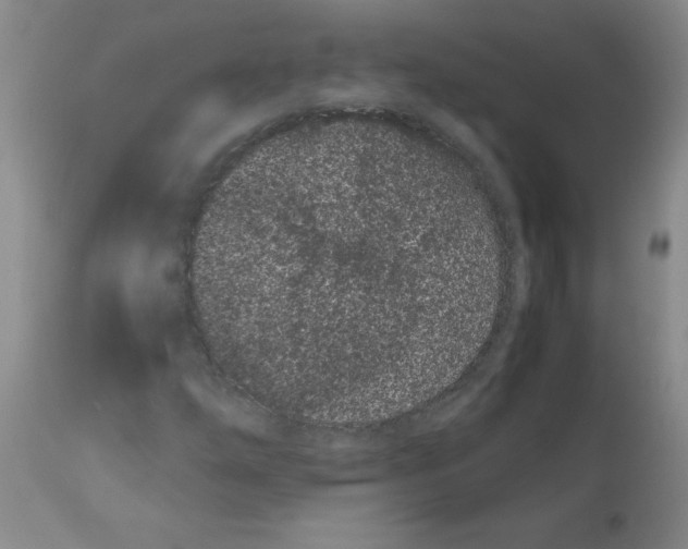 X0000111491254200908251017