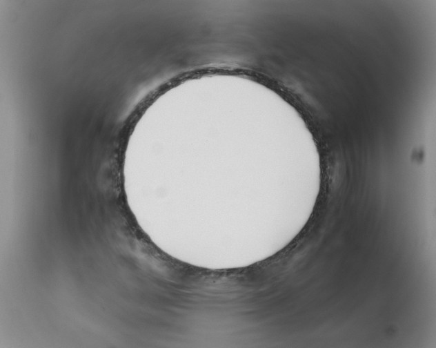 X0000111491256200908251017