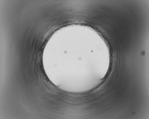 X0000111491257200908251017