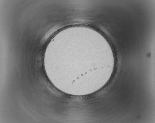X0000111491259200908251017
