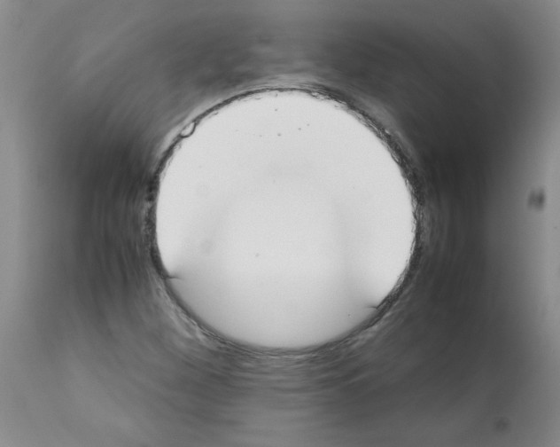 X0000111491260200908251017