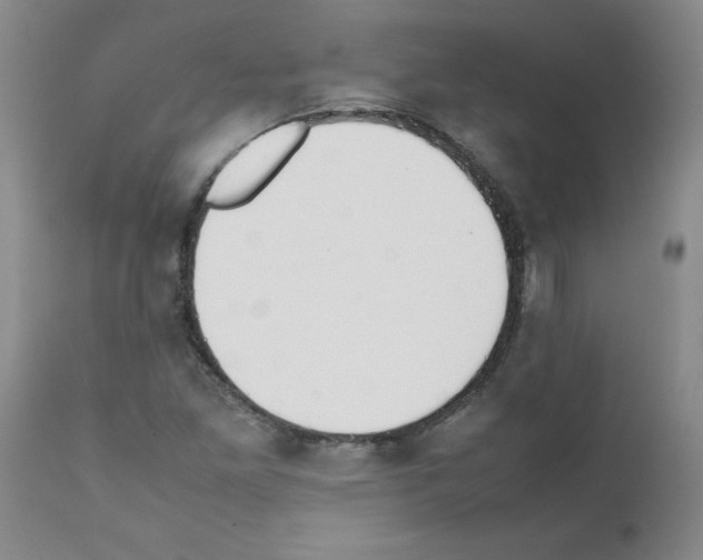 X0000111491261200908251017
