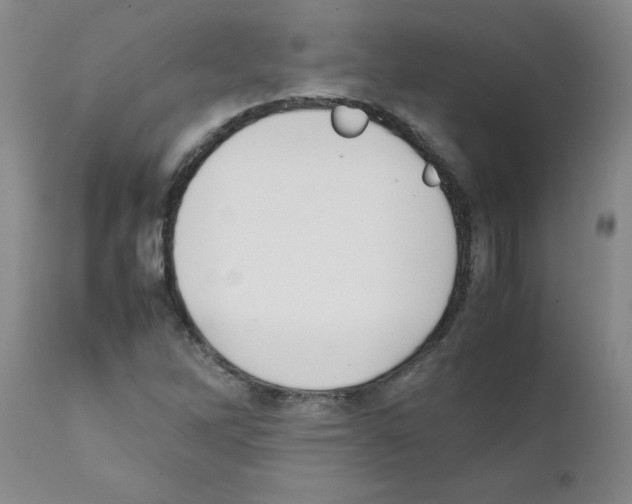 X0000111491262200908251017