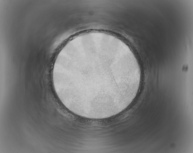 X0000111491263200908251017