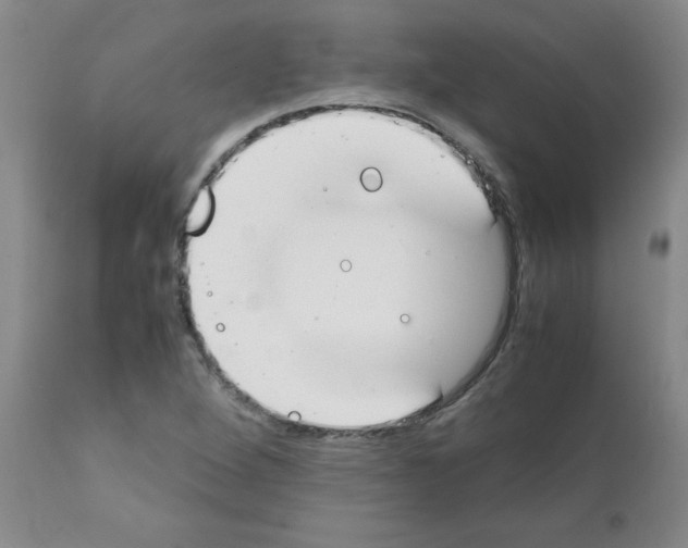 X0000111491264200908251017