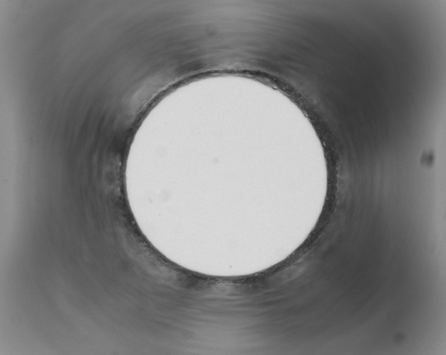 X0000111491265200908251017