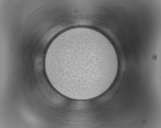 X0000111491266200908251017