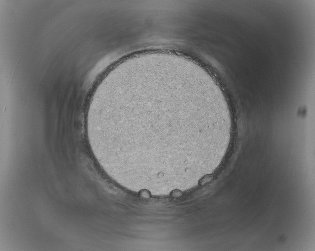 X0000111491267200908251017