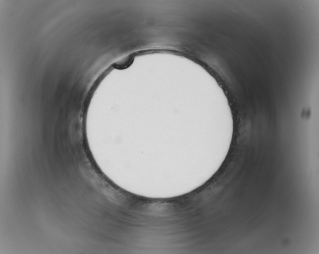 X0000111491268200908251017