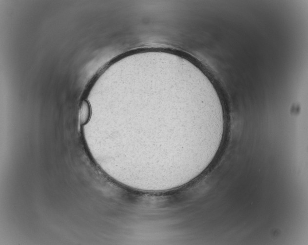 X0000111491269200908251017