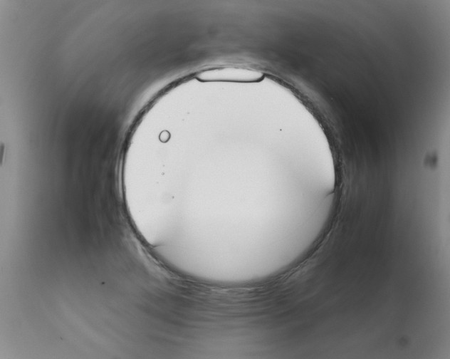 X0000111491272200908251017