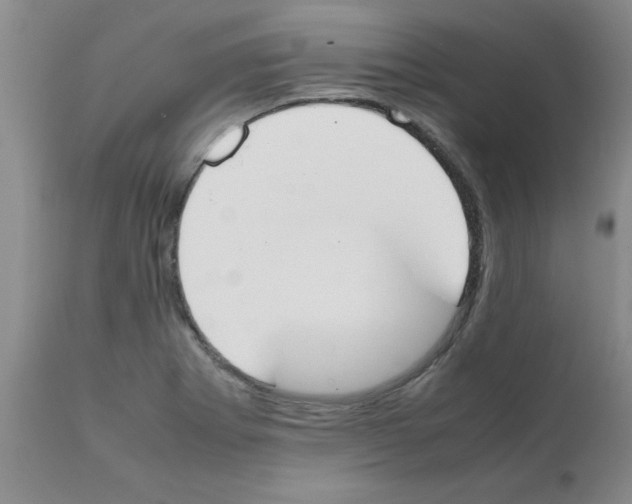 X0000111491273200908251017