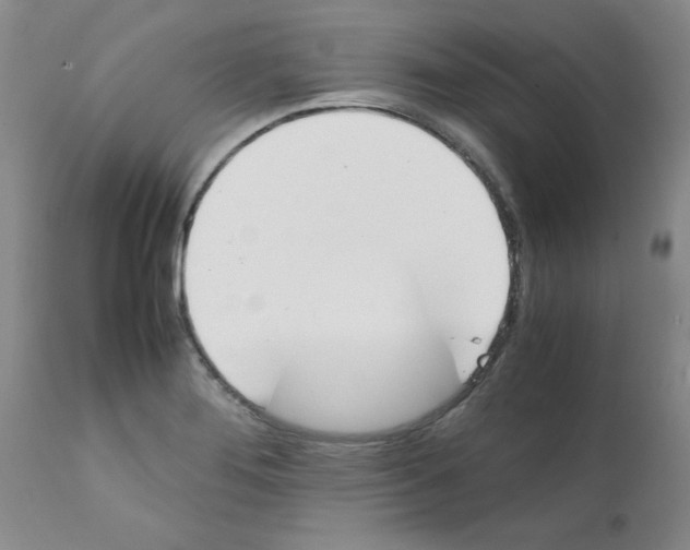 X0000111491276200908251017