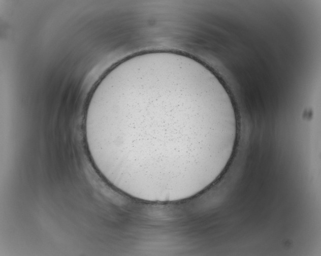 X0000111491278200908251017