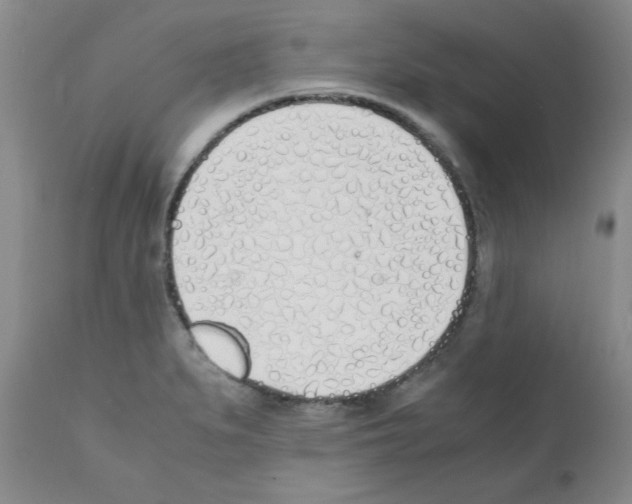 X0000111491279200908251017