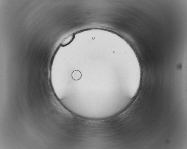 X0000111491280200908251017