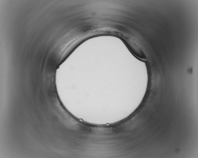 X0000111491281200908251017