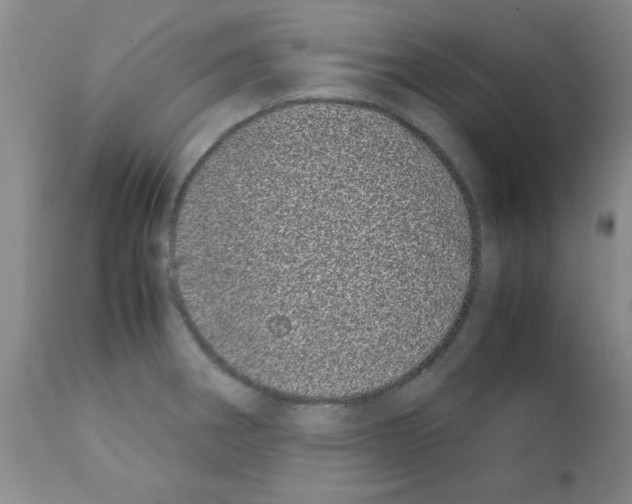 X0000111491282200908251017