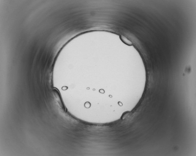 X0000111491284200908251017