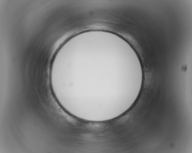 X0000111491286200908251017
